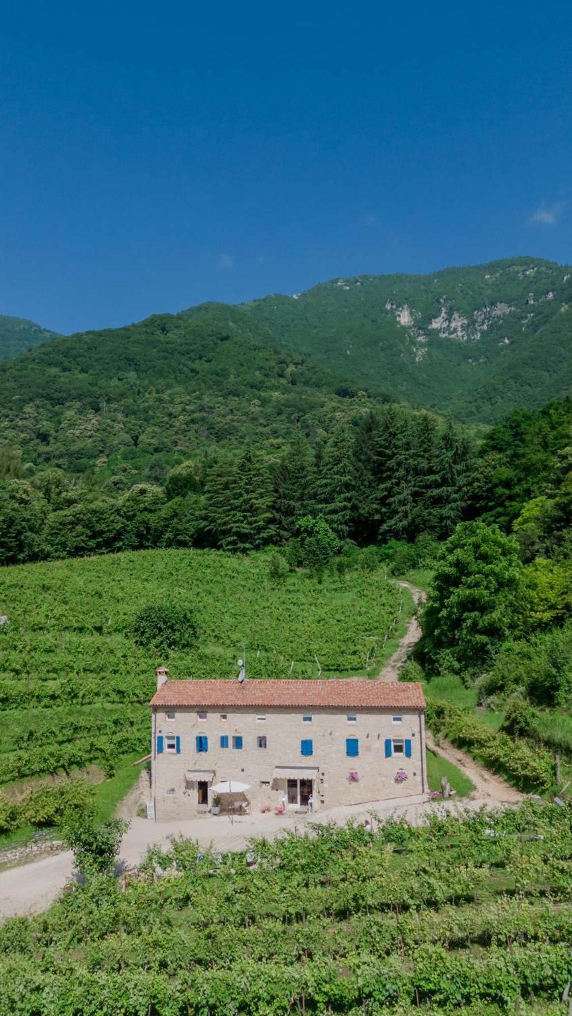 Agriturismo Podere Del Bosc Valmareno Exterior foto