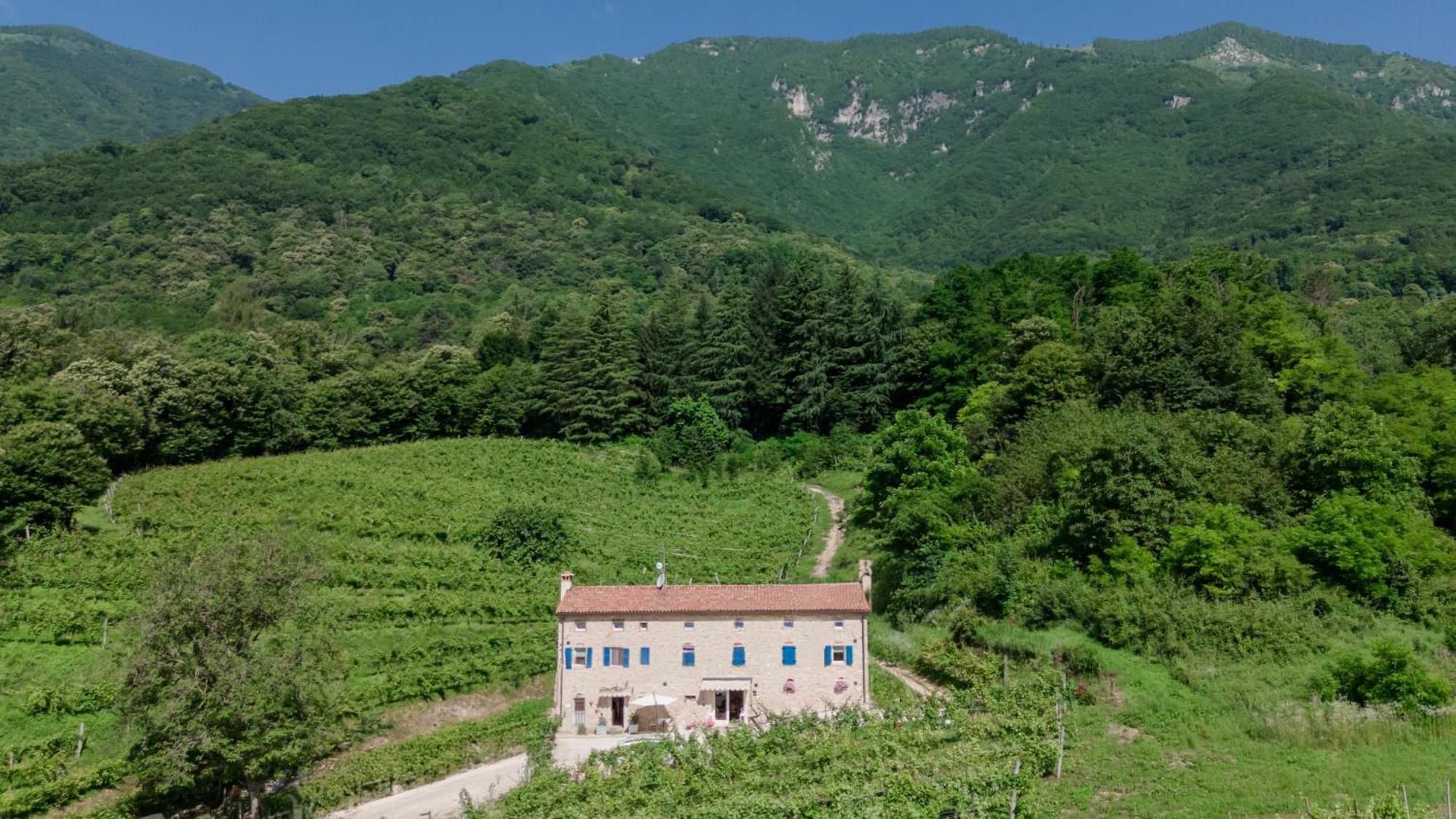 Agriturismo Podere Del Bosc Valmareno Exterior foto